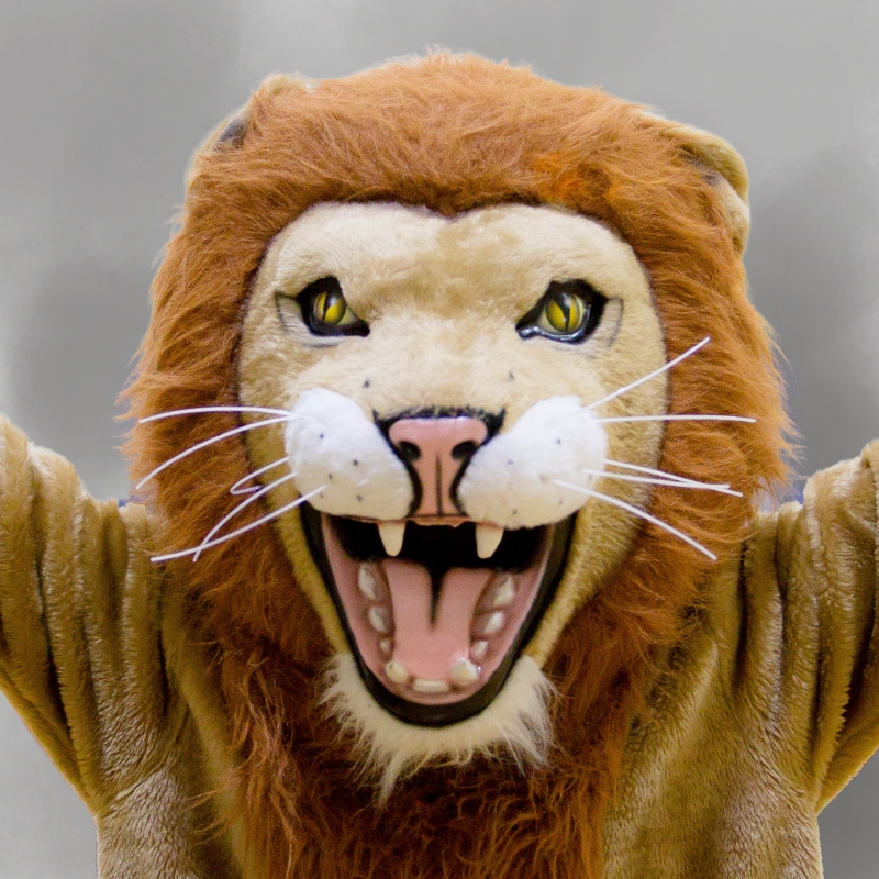 Upper School Girls' Varsity Volleyball